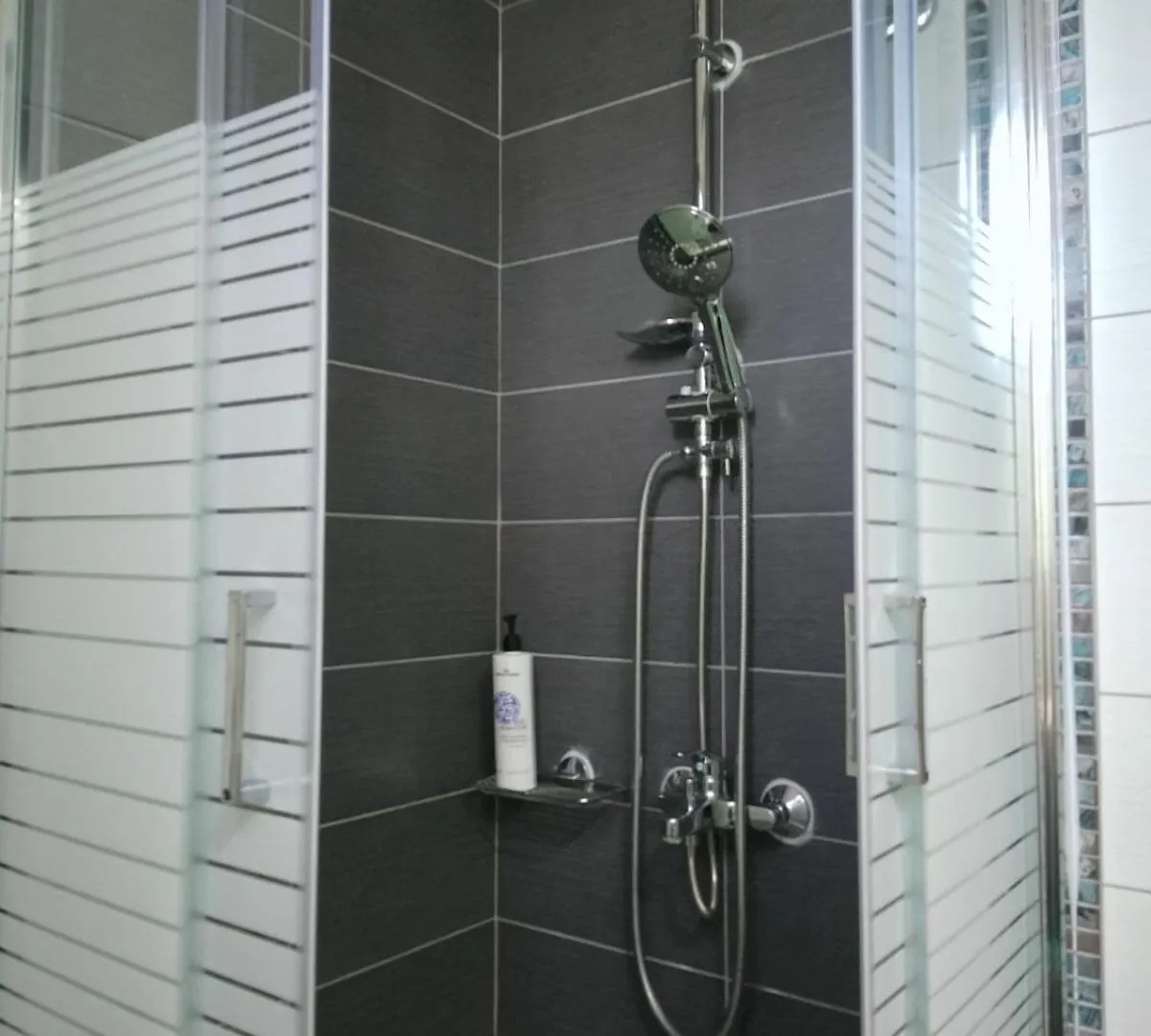 Alexandra'S Garden Apartment Paliouri