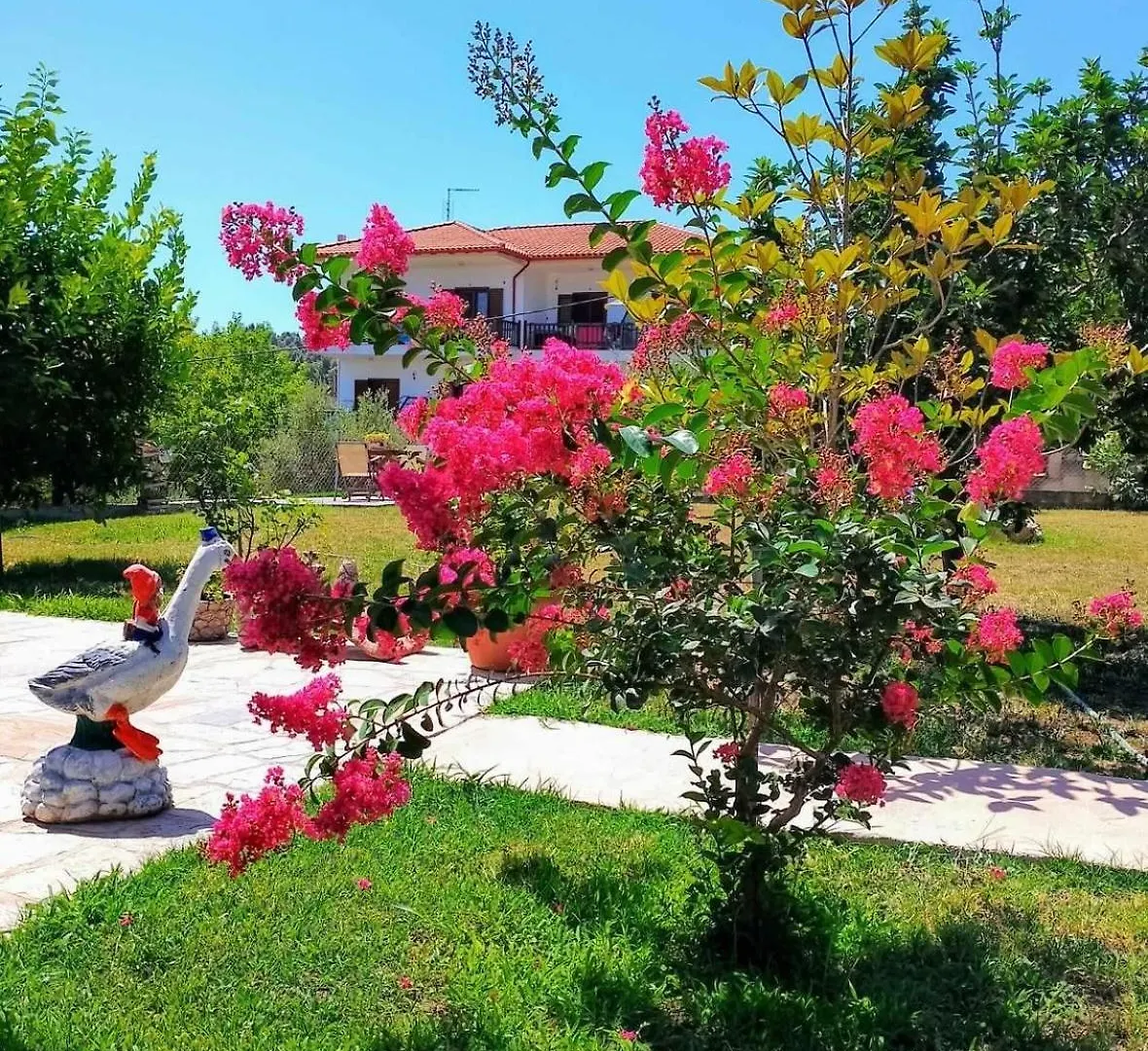 Alexandra'S Garden Apartment Paliouri 0*,